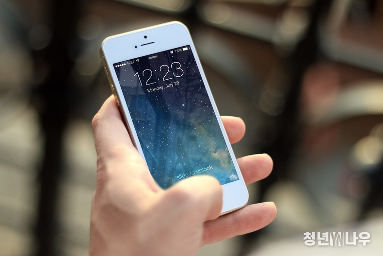 해당 사진은 본문과 무관함을 알려 드립니다. (출처 : 픽사베이)