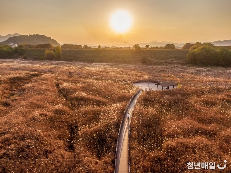 대구시 달서구청 제공